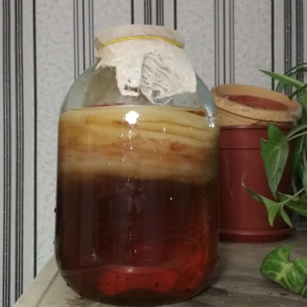 Φυτικά Συστατικά για το Δέρμα